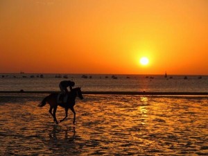 Conil beach at night